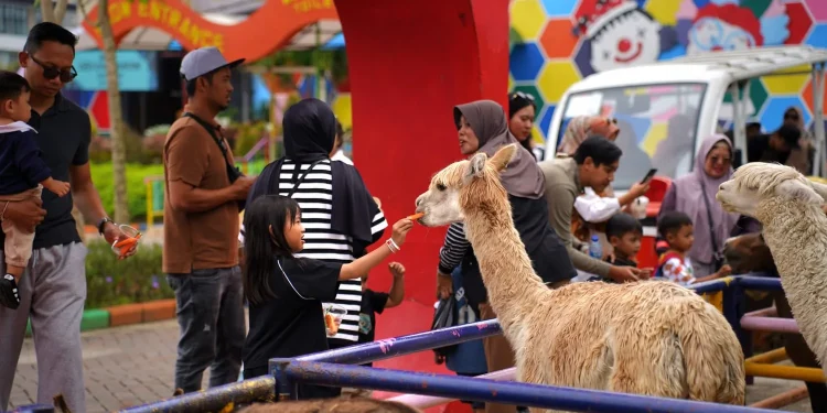 Sensasi feeding satwa sambil istirahat di Rest Area Drive Thru Park. Foto: Dok. Jatim Park