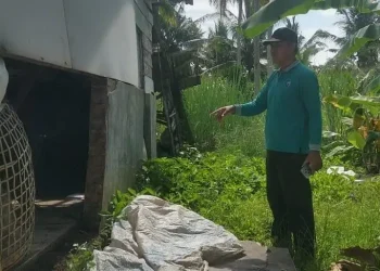Tembok warga jebol akibat guncangan gempa Pacitan. Foto: BPBD Kabupaten Malang