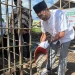 Peletakkan Batu Pertama Masjid At Tarbiyah: Kolaborasi Wali Murid SMPIT Insan Permata Malang dalam Mendukung Penguatan Karakter Islami