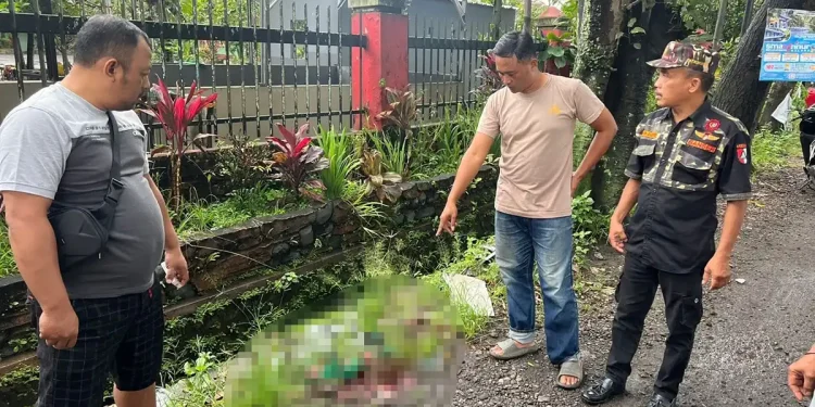Tawuran pelajar