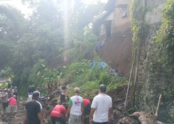 Wajak Malang