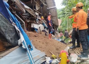 Kandang ayam ambruk