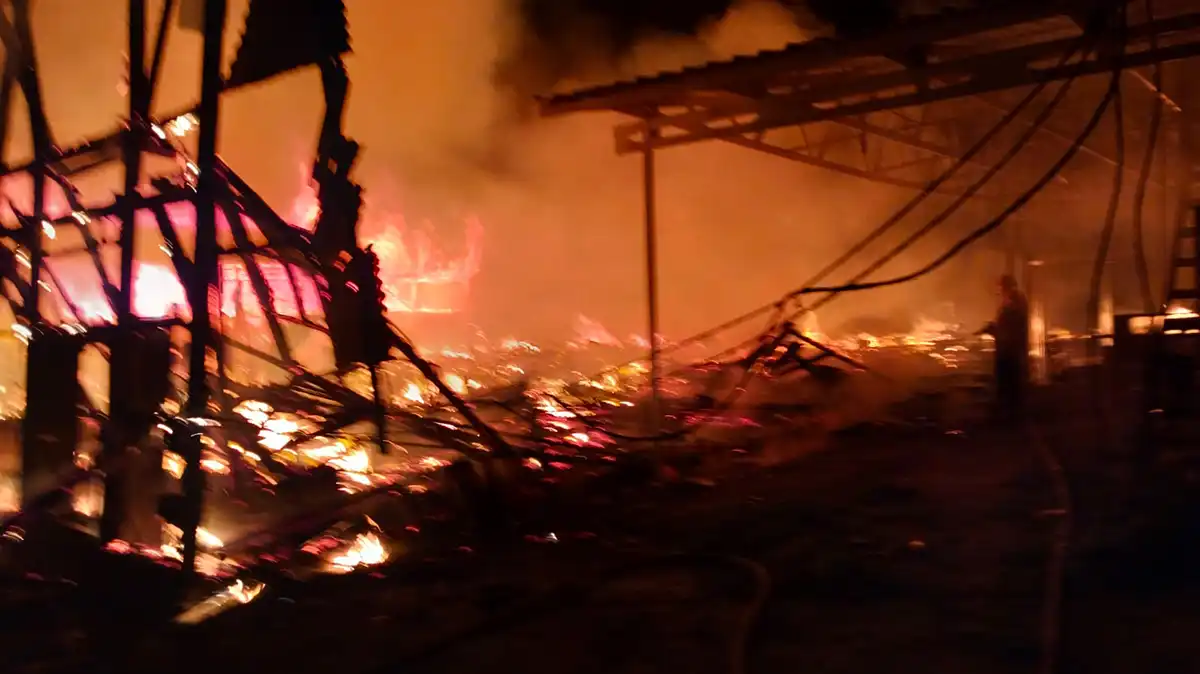 Kandang ayam terbakar 