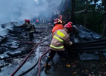 Kandang ayam terbakar