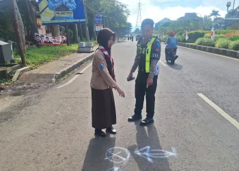 Laka maut