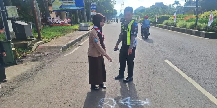 Laka maut