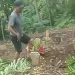 Makam digusur di Kota Batu