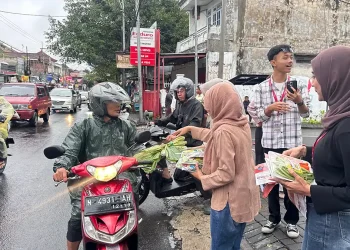 Prodi Agribisnis UMM
