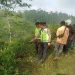 Terperosok ke jurang