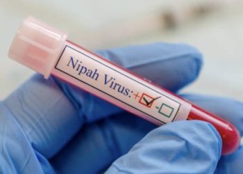 Virus Nipah