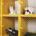 Rekomendasi penitipan kucing di Malang selama ditinggal mudik Lebaran. /Foto: Pinterest/ Creative Blog Ideas.
