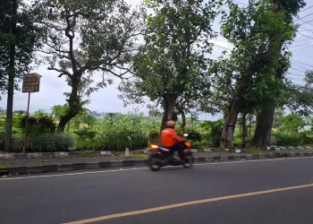 DPRD Kabupaten Malang