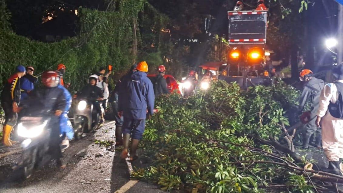 Petugas BPBD Kota Batu saat melakukan penanganan dan kaji cepat pasca pohon tumbang di sejumlah titik. Foto: BPBD KWB