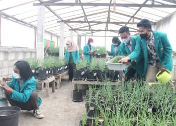 Keunggulan Fakultas Pertanian Unisma yang wajib diketahui oleh calon mahasiswa yang tertarik dengan bidang agroteknologi dan agribisnis. /Foto: Dok. Unisma.