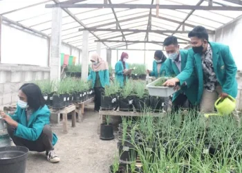 Keunggulan Fakultas Pertanian Unisma yang wajib diketahui oleh calon mahasiswa yang tertarik dengan bidang agroteknologi dan agribisnis. /Foto: Dok. Unisma.