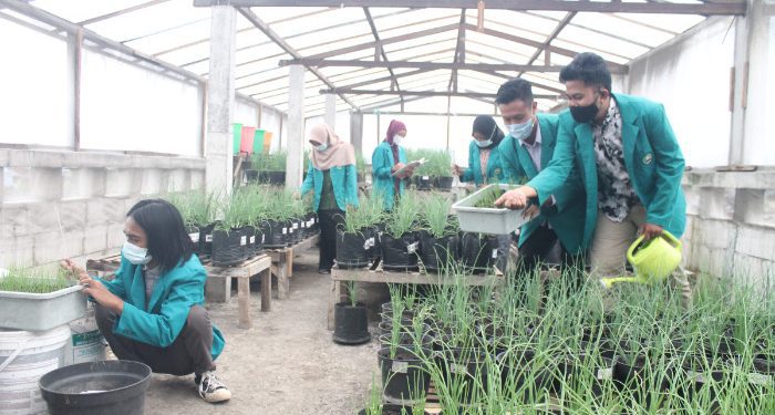 Keunggulan Fakultas Pertanian Unisma yang wajib diketahui oleh calon mahasiswa yang tertarik dengan bidang agroteknologi dan agribisnis. /Foto: Dok. Unisma.