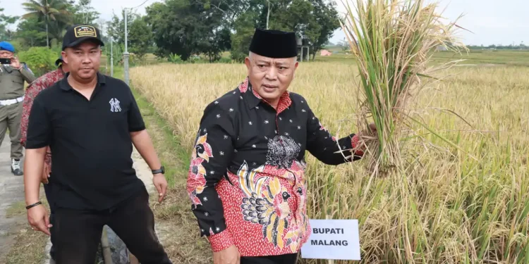 Pemkab Malang