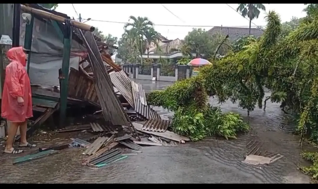 Pohon tumbang timpa warung di Jabung. Foto: BPBD Kabupaten Malang