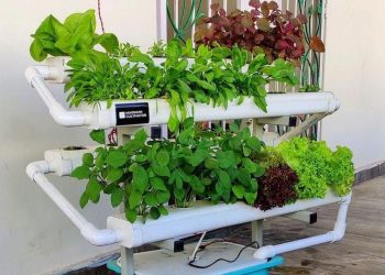 Sistem hidroponik NFT, salah satu Jenis hidroponik yang mengalirkan nutrisi melalui pipa yang dimiringkan 1-5%(Foto: Pinterest @Herman Zonis)