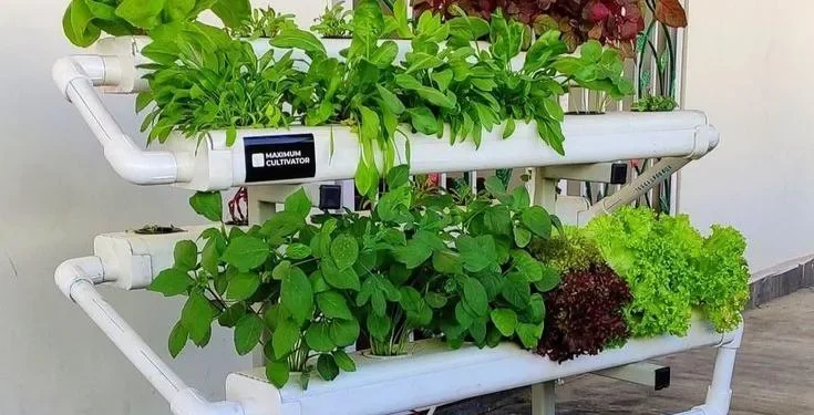 Sistem hidroponik NFT, salah satu Jenis hidroponik yang mengalirkan nutrisi melalui pipa yang dimiringkan 1-5%(Foto: Pinterest @Herman Zonis)