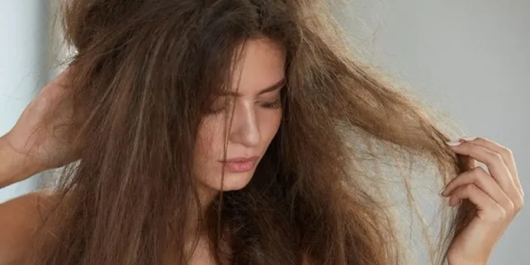 Ilustrasi rambut kering dan mengembang. (Foto: Pinterest)