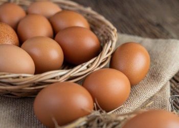 Ilustrasi telur ayam dengan bentuk, warna, dan tekstur yang berbeda (Foto: Pinterest @Vietnamse)