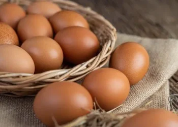 Ilustrasi telur ayam dengan bentuk, warna, dan tekstur yang berbeda (Foto: Pinterest @Vietnamse)