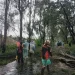 Pohon tumbang di Poncokusumo. Foto: BPBD Kabupaten Malang