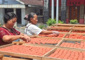Produksi Rengginang Kencana capai 50 kilogram per hari. Foto: Aisyah Nawangsari Putri
