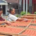 Produksi Rengginang Kencana capai 50 kilogram per hari. Foto: Aisyah Nawangsari Putri