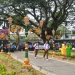 Ilustrasi skema seragam sekolah gratis di Kota Malang. (Foto/Rubianto)
