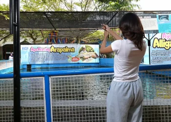 Batu Ekonomis Park.
