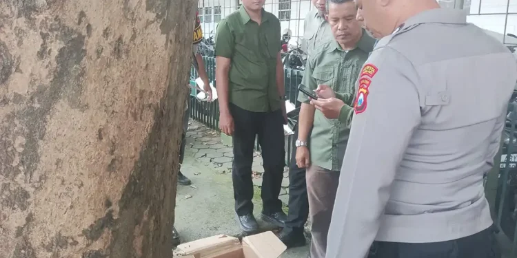 bayi perempuan
