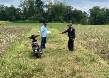 Lokasi curanmor di area persawahan Desa Dengkol, Kecamatan Singosari, Kabupaten Malang. Foto: Polres Malang