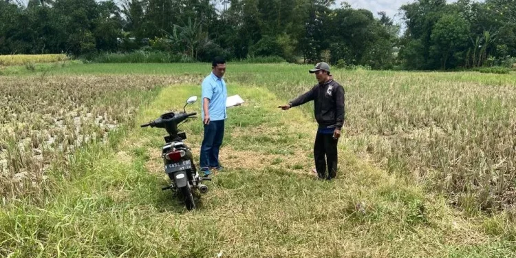 Lokasi curanmor di area persawahan Desa Dengkol, Kecamatan Singosari, Kabupaten Malang. Foto: Polres Malang