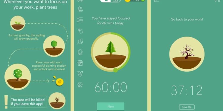 Salah satu aplikasi untuk meningkatkan fokus belajar yang bernama Forest. (Foto: Pinterest)