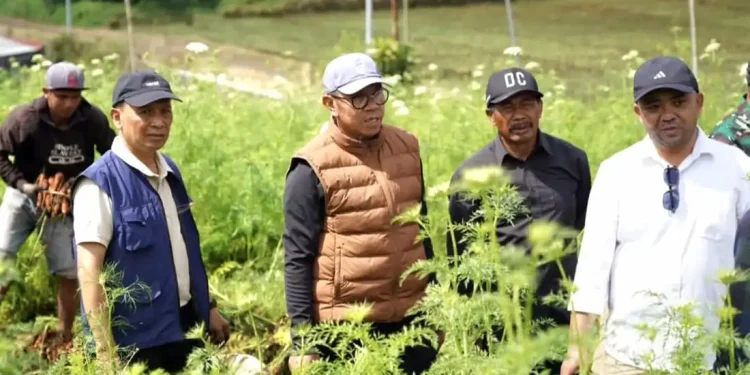 Integrated Farming
