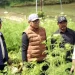 Integrated Farming