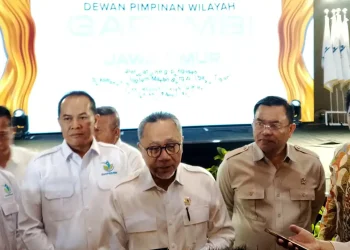 Menko pangan