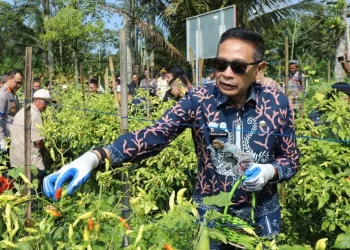 Wali kota malang