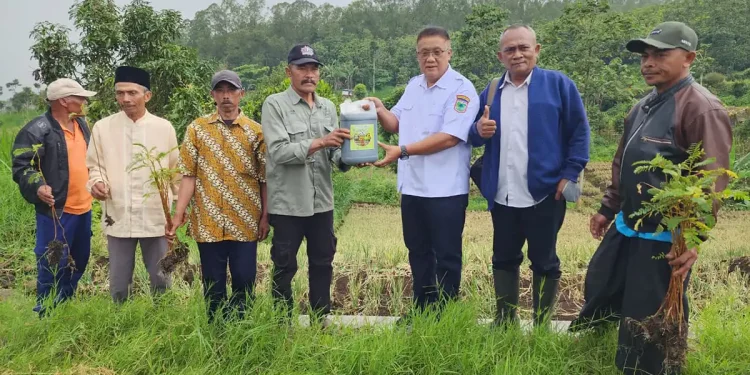 Petani Kota Batu