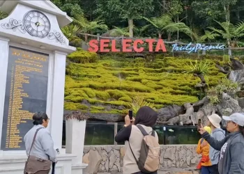Selecta Kota Batu