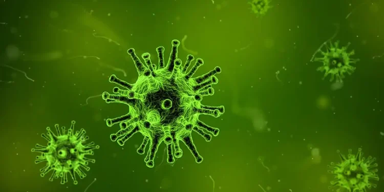 Ilustrasi virus. Foto: Pixabay.com/qimono