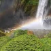 Keindahan Coban Pelangi. (Foto: Portal Resmi Kabupaten Malang)
