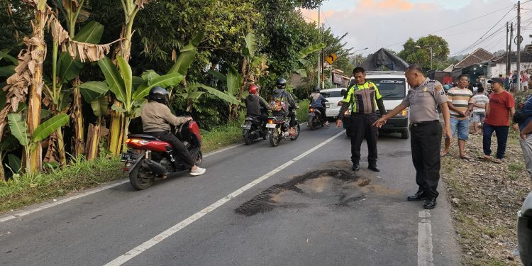 Lokasi terjadinya kecelakaan di Sumbermanjing Wetan. Foto: Satlantas Polres Malang