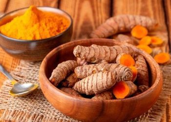 Temulawak, tanaman herbal tradisional yang bermanfaat untuk kesehatan. (Foto: Pinterest)