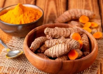 Temulawak, tanaman herbal tradisional yang bermanfaat untuk kesehatan. (Foto: Pinterest)
