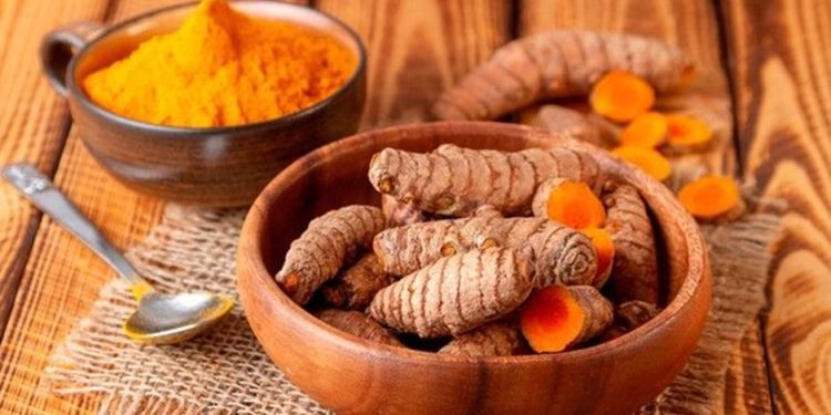 Temulawak, tanaman herbal tradisional yang bermanfaat untuk kesehatan. (Foto: Pinterest)