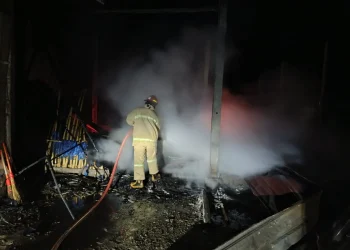Petugas memadamkan api yang membakar kandang ayam di Ngantang. Foto: Damkar Kabupaten Malang