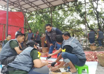 Manager PLN UP3 Malang, Agung Wibowo dalam kegiatan penyembelihan hewan qurban Idul Adha 2026. (Foto/M Sholeh)